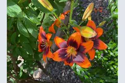 2061 10th Avenue, Star Prairie, WI 54026 - Photo 43