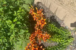 2061 10th Ave, Star Prairie, WI 54026 - Photo 41