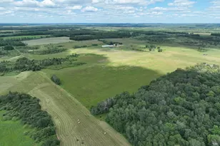 9091 52nd St SW, Verndale, MN 56481 - Photo 13