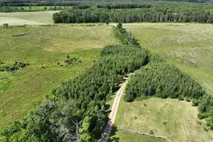 9091 52nd St SW, Verndale, MN 56481 - Photo 3