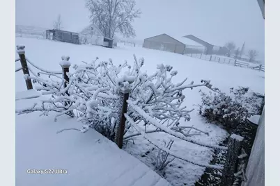 9091 52nd Street SW, Verndale, MN 56481 - Photo 37