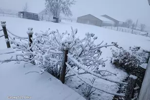 9091 52nd St SW, Verndale, MN 56481 - Photo 37