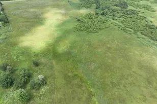 9091 52nd St SW, Verndale, MN 56481 - Photo 13