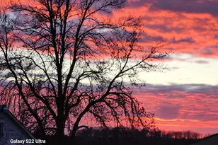 9091 52nd St SW, Verndale, MN 56481 - Photo 39