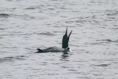 1640 Waterbury, Waconia, MN 55387 - Photo 73