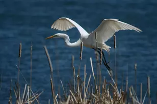 1640 Waterbury, Waconia, MN 55387 - Photo 75