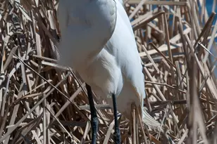 1640 Waterbury, Waconia, MN 55387 - Photo 65