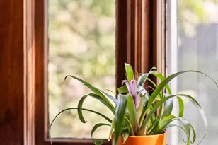 2101 Scudder St, Saint Paul, MN 55108 - Photo 39