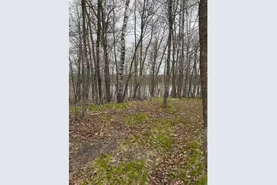 Lot 7 SW Pickerel Lake Road, Detroit Lakes, MN 56501 - Photo 3
