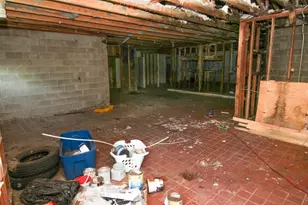 641 Forest Ave, Albany, MN 56307 - Photo 5