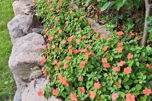 3709 W 104th St, Bloomington, MN 55431 - Photo 45