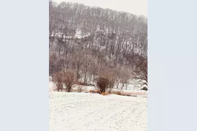 Tbd Territorial Road, Lake City, MN 55041 - Photo 9