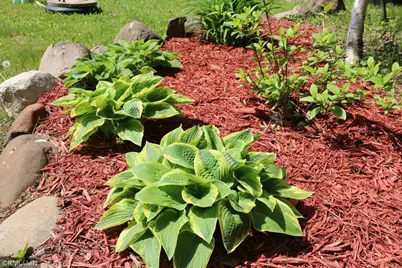 14638 State Highway 70, Pine City, MN 55063 - Photo 51