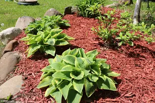 14638 State Hwy 70, Pine City, MN 55063 - Photo 51