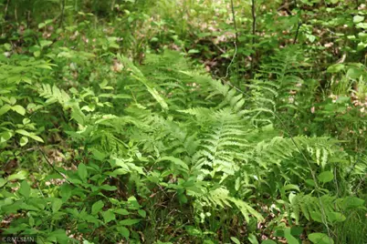 14638 State Highway 70, Pine City, MN 55063 - Photo 63