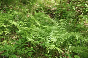 14638 State Hwy 70, Pine City, MN 55063 - Photo 63