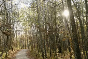 21574 State 200, Bagley, MN 56621 - Photo 113