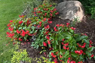 5001 Kelsey Terrace, Edina, MN 55436 - Photo 55