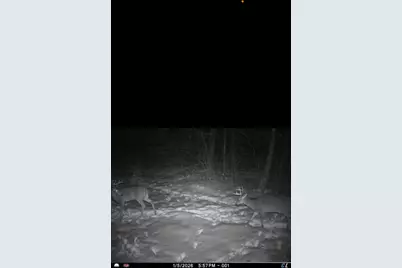 Xxx US Hwy 8, Almena, WI 54805 - Photo 43