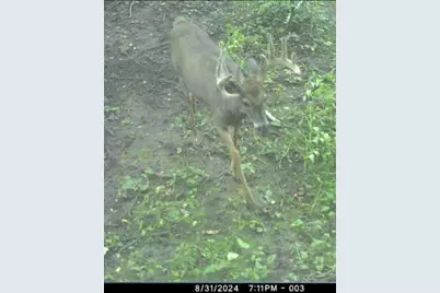 Xxx US Hwy 8, Almena, WI 54805 - Photo 31