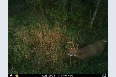 Xxx US Hwy 8, Almena, WI 54805 - Photo 33