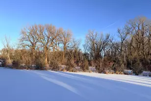 17024 County Rd 5, Hoffman, MN 56339 - Photo 89