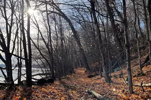 2684 87th Ct W, Northfield, MN 55057 - Photo 73