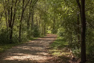 16633 Temple Dr N, Minnetonka, MN 55345 - Photo 73