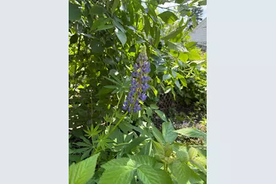 5348 47th Avenue S, Minneapolis, MN 55417 - Photo 31