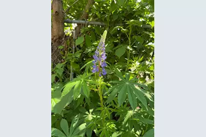 5348 47th Avenue S, Minneapolis, MN 55417 - Photo 31