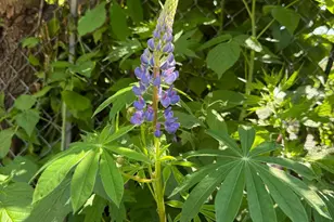 5348 47th Ave S, Minneapolis, MN 55417 - Photo 31