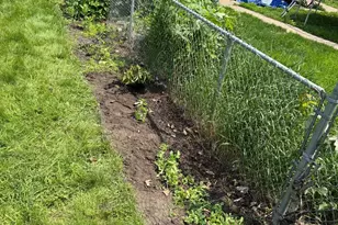 5348 47th Ave S, Minneapolis, MN 55417 - Photo 33