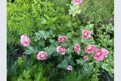 5348 47th Avenue S, Minneapolis, MN 55417 - Photo 29