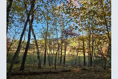 Lot 1 Lincoln Avenue, Amery, WI 54001 - Photo 9