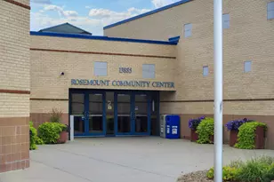 1117 Annagaire Curv, Rosemount, MN 55068 - Photo 25