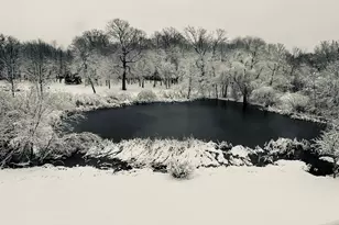 1096 Sunset Ave, Montrose, MN 55363 - Photo 29