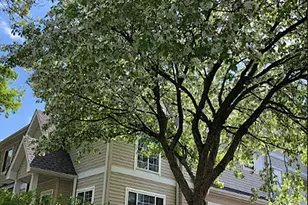 626 Willoughby Way W, Hopkins, MN 55305 - Photo 37