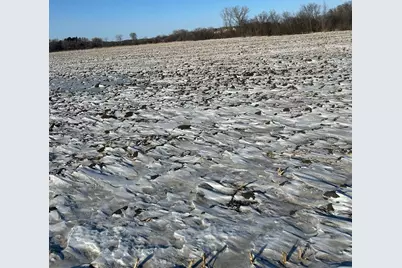 Xxxx 285th (180 Acres) Street, Northfield, MN 55057 - Photo 11