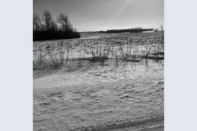 Xxxx 285th (180 Acres) Street, Northfield, MN 55057 - Photo 5