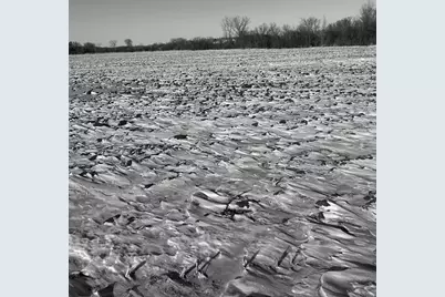 Xxxx 285th (180 Acres) Street, Northfield, MN 55057 - Photo 9