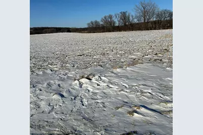 Xxxx 285th (10 Acres) Street, Northfield, MN 55057 - Photo 3