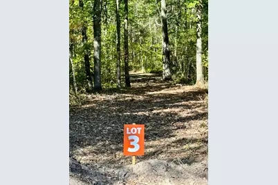 Tbd3 Winter Creek Court, Nisswa, MN 56468 - Photo 3