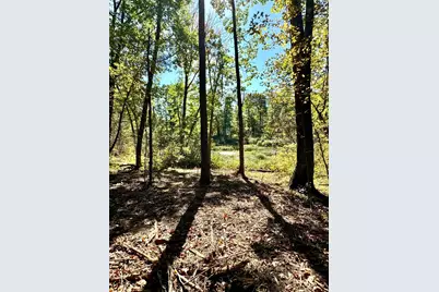 Tbd4 Winter Creek Court, Nisswa, MN 56468 - Photo 5