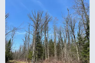 11Tbd Gulley Road, Maple, WI 54854 - Photo 7