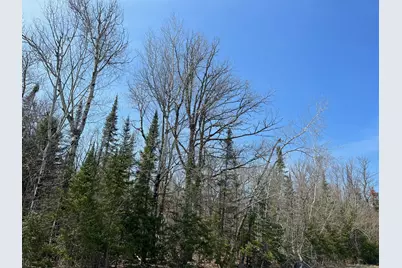 11Tbd Gulley Road, Maple, WI 54854 - Photo 43