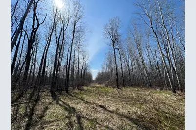 Tbd Gulley Road, Maple, WI 54854 - Photo 13