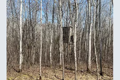 Tbd Gulley Road, Maple, WI 54854 - Photo 17