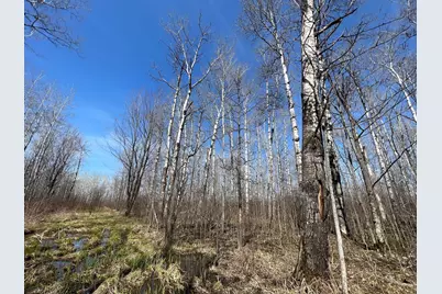 Tbd Gulley Road, Maple, WI 54854 - Photo 15