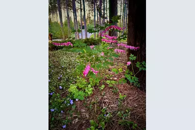 741 Glenna Drive, Hudson, WI 54016 - Photo 57