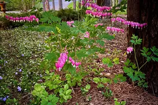 741 Glenna Dr, Hudson, WI 54016 - Photo 57